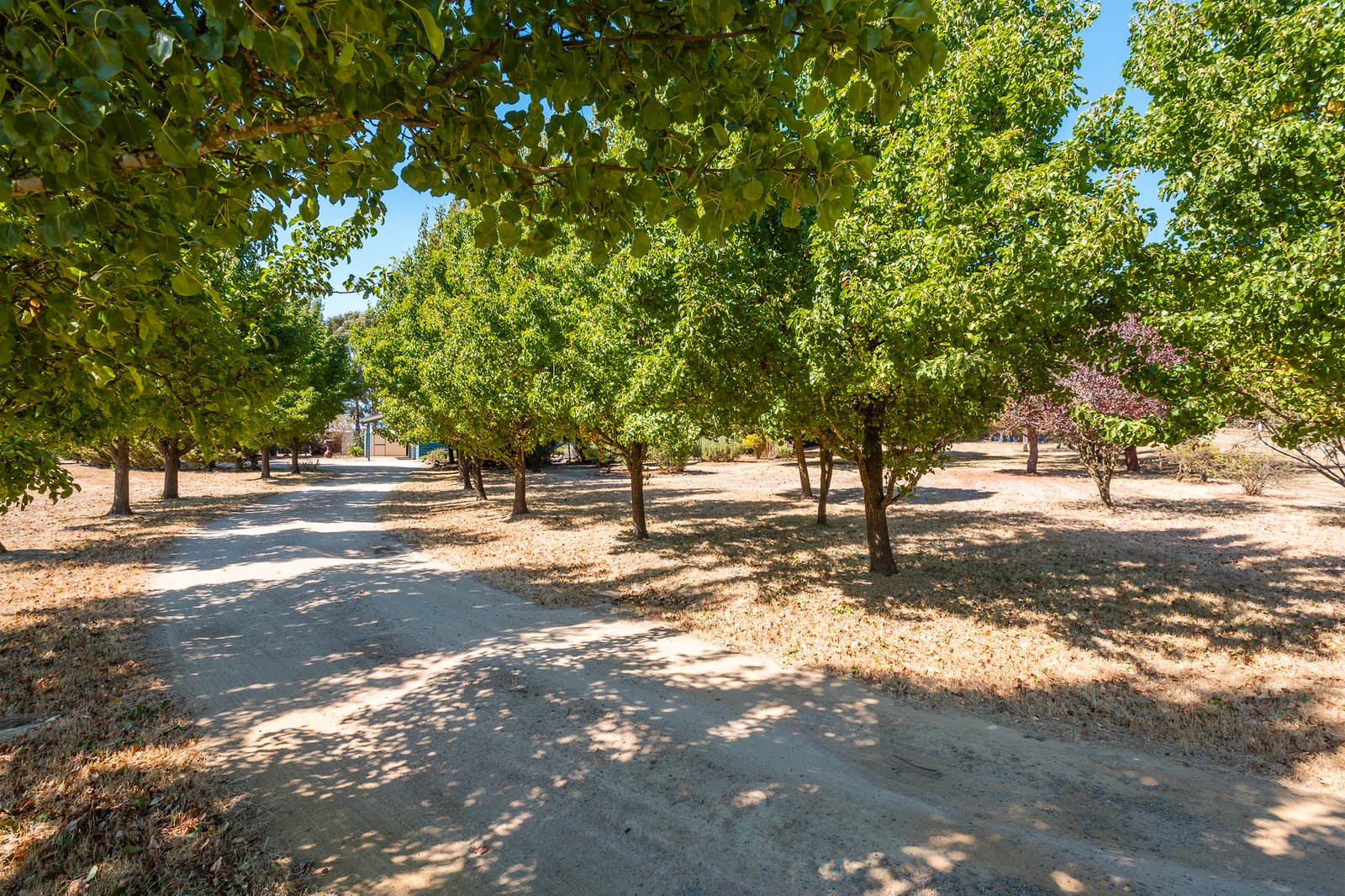 Real Estate and Property in 147 Harts Lane, Kyneton, VIC