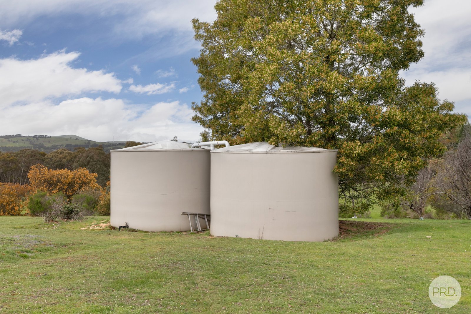 147 Rifle Range Road LEXTON 15