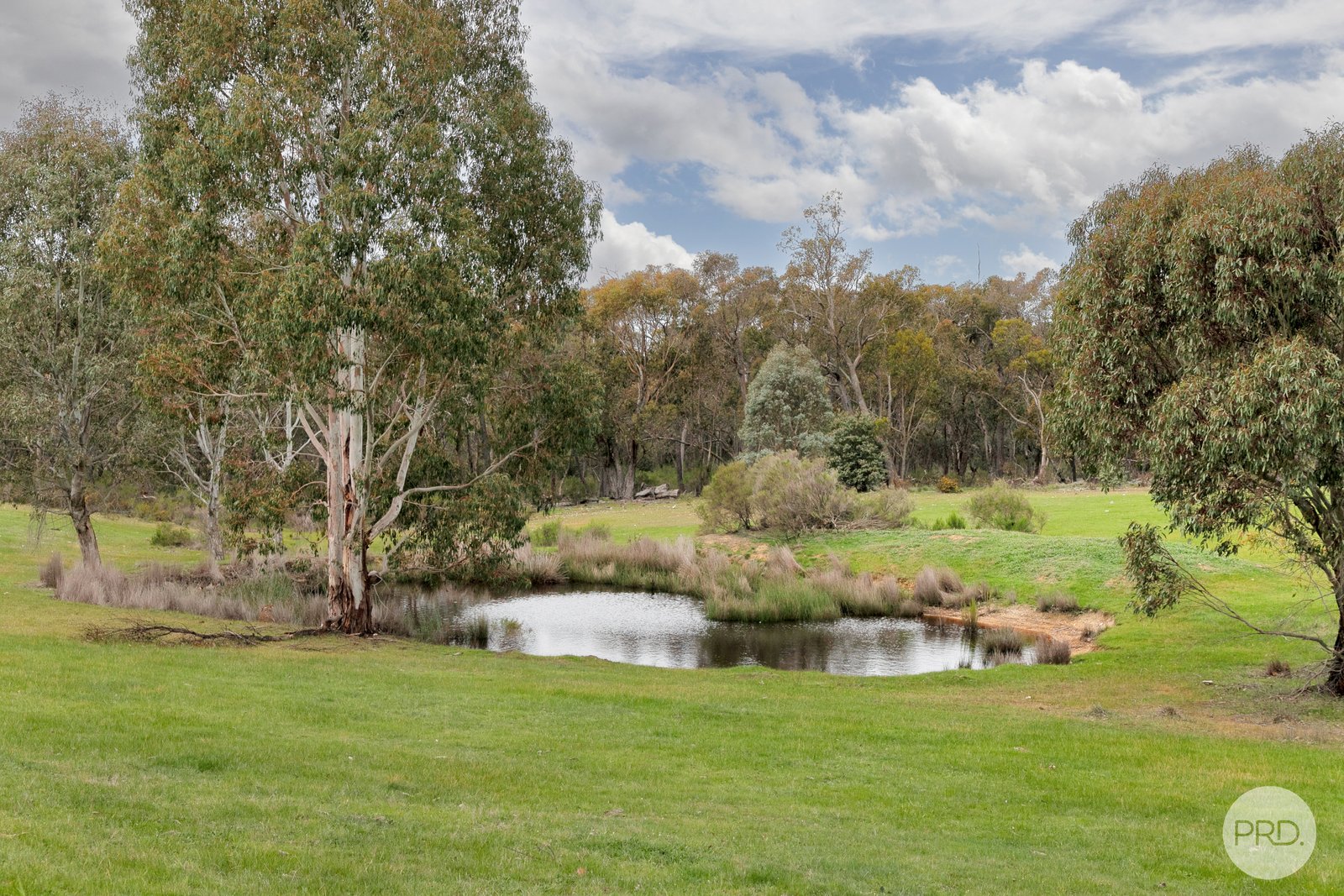 147 Rifle Range Road LEXTON 16