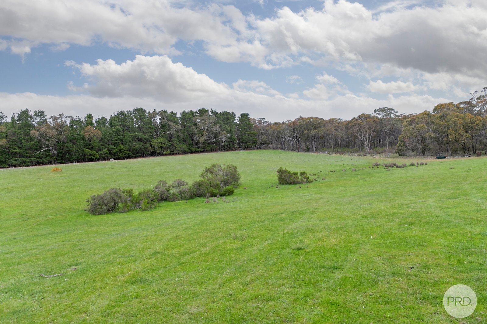 147 Rifle Range Road LEXTON 18