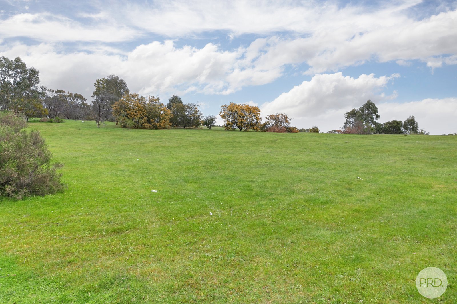 147 Rifle Range Road LEXTON 19