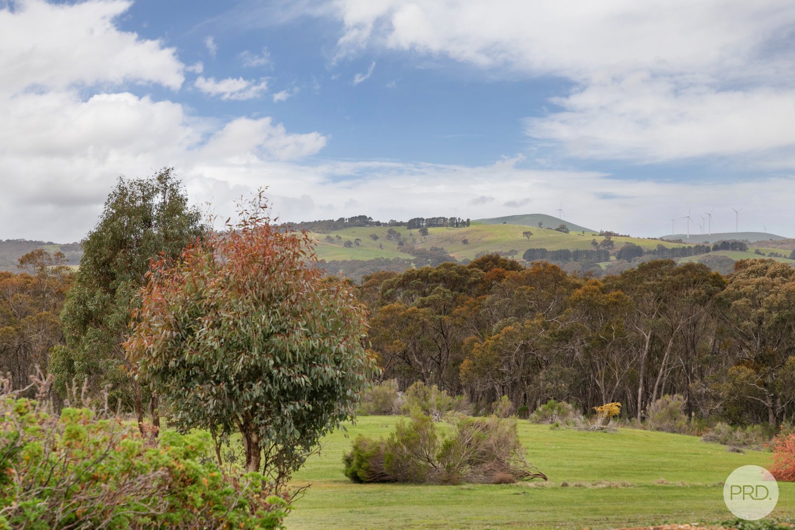 147 Rifle Range Road LEXTON 20