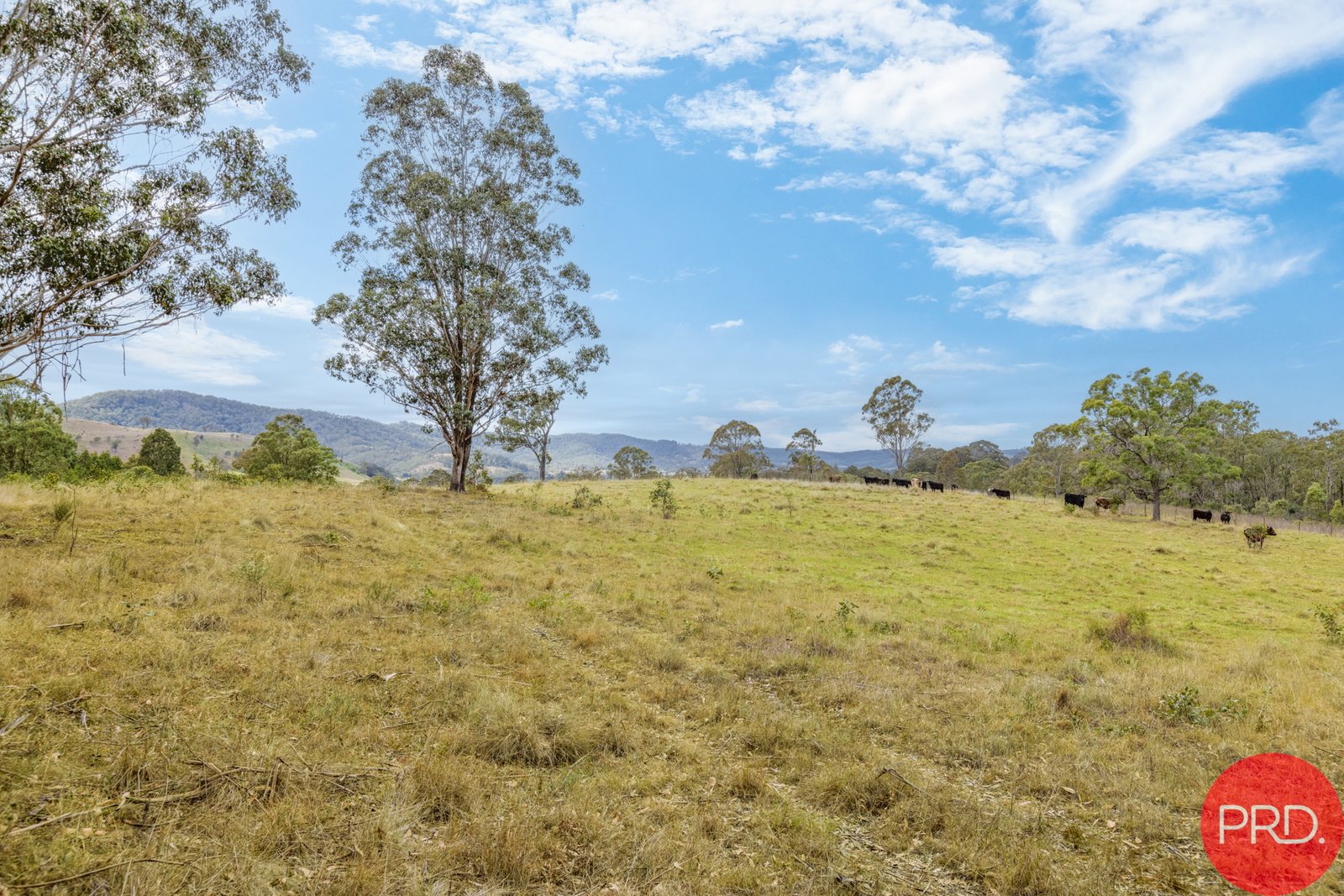 1473 Maitland Vale Road LAMBS VALLEY 3