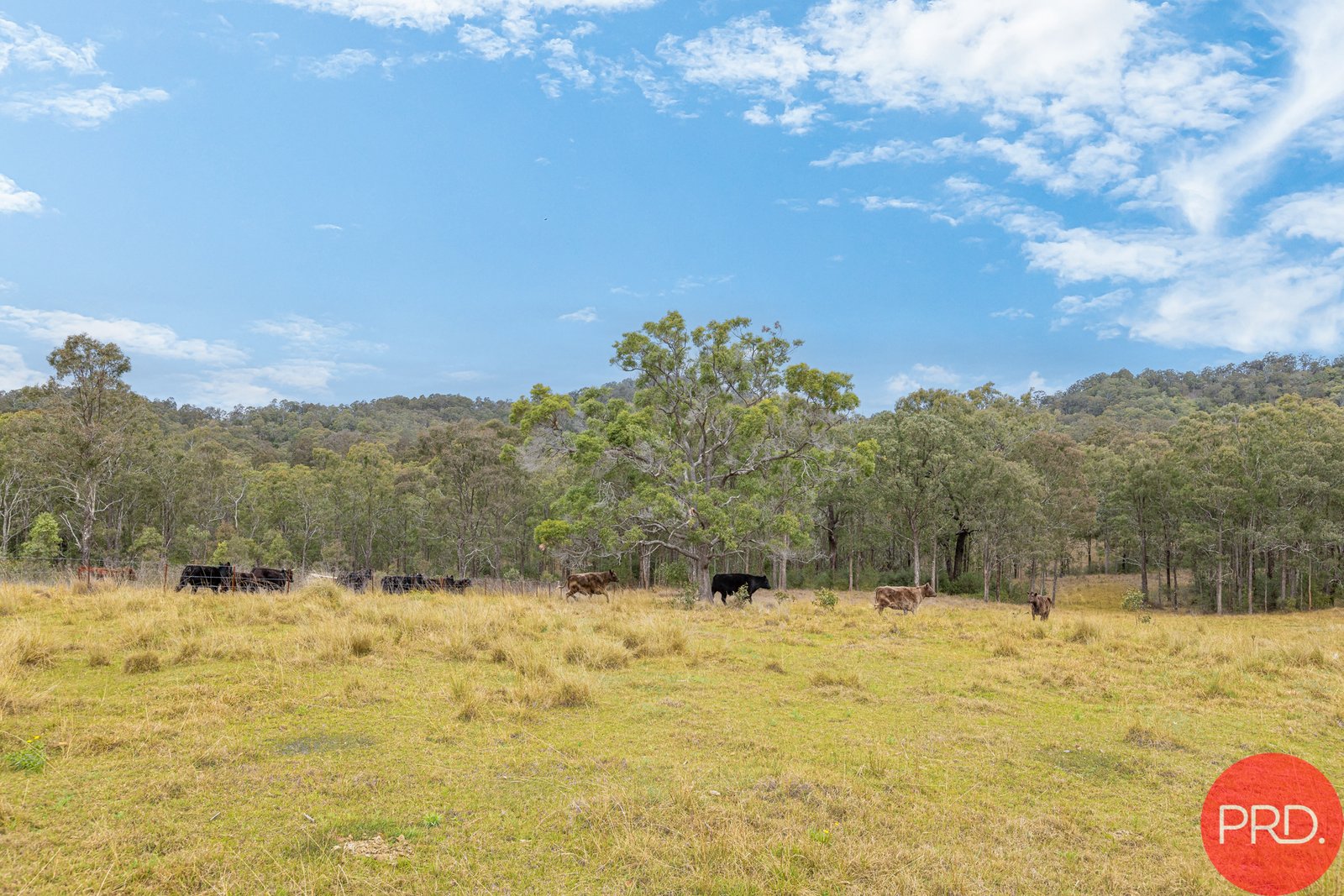 1473 Maitland Vale Road, LAMBS VALLEY NSW 2335