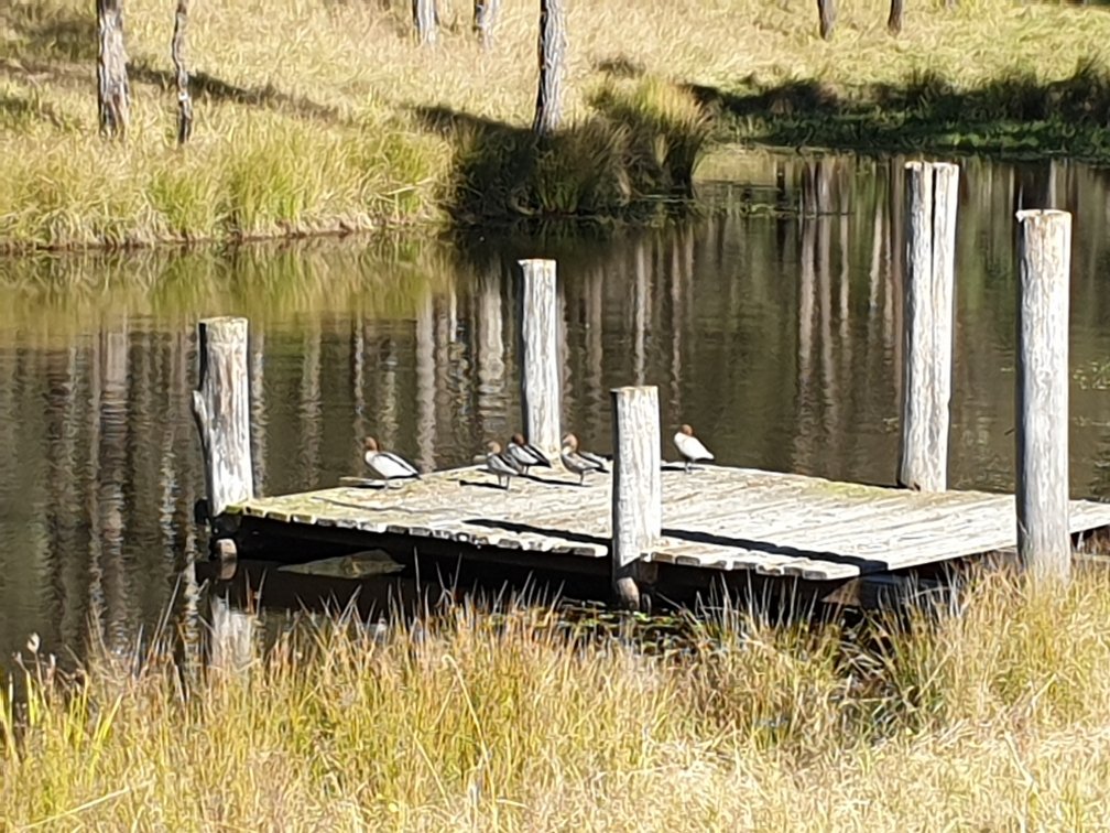 1473 Maitland Vale Road LAMBS VALLEY 17