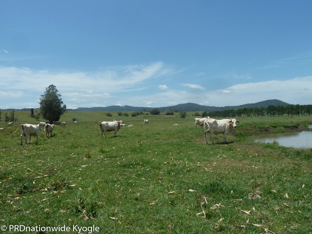 148 Collins Creek Road KYOGLE 1