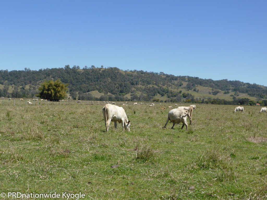 148 Collins Creek Road KYOGLE 14