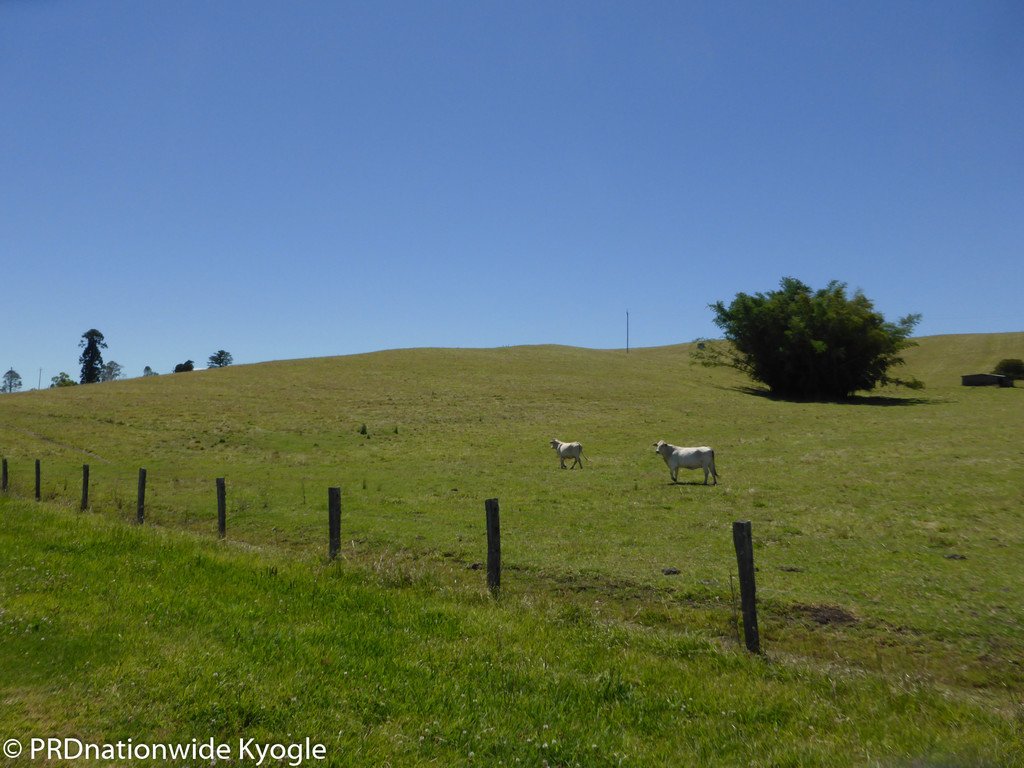 148 Collins Creek Road KYOGLE 15