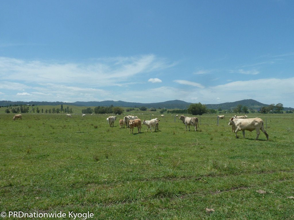 148 Collins Creek Road KYOGLE 20