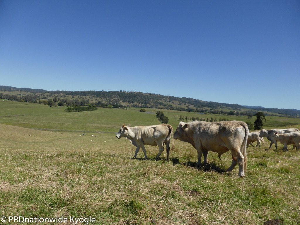 148 Collins Creek Road KYOGLE 25