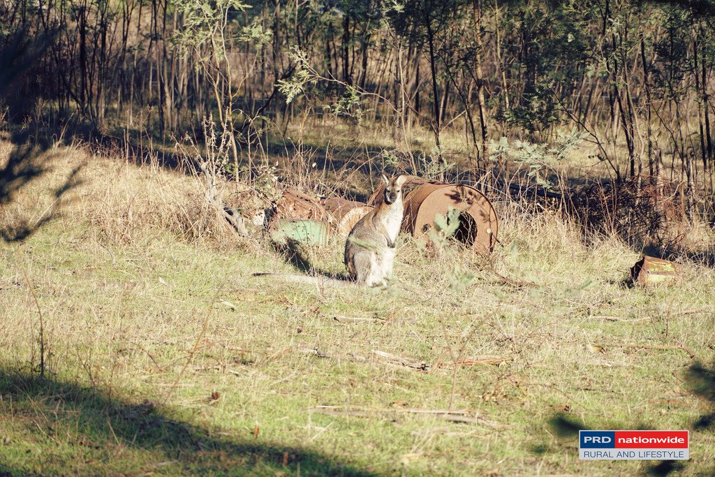 148 Tumbarumba Road TUMBARUMBA 1