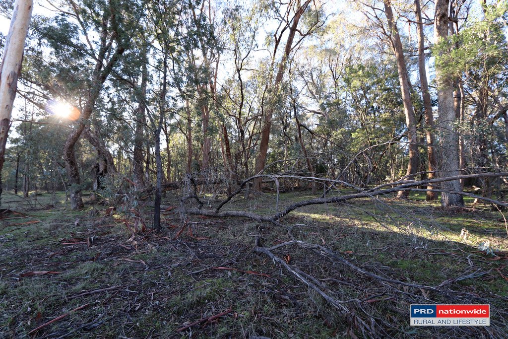 148 Tumbarumba Road TUMBARUMBA 3