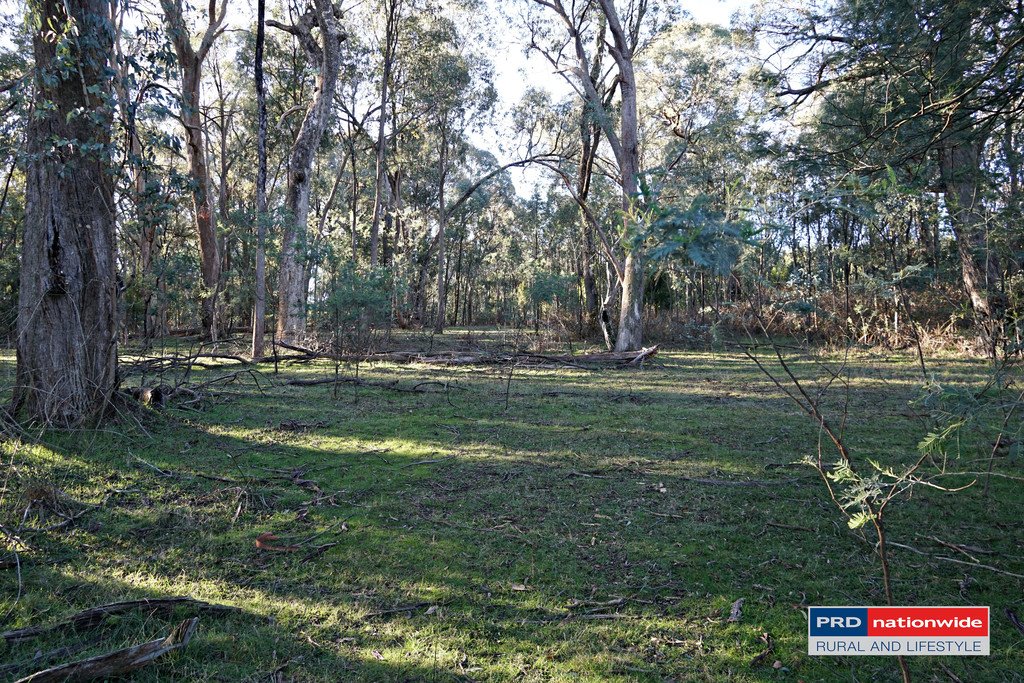 148 Tumbarumba Road TUMBARUMBA 4