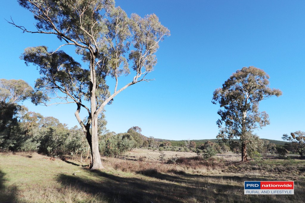 148 Tumbarumba Road TUMBARUMBA 5