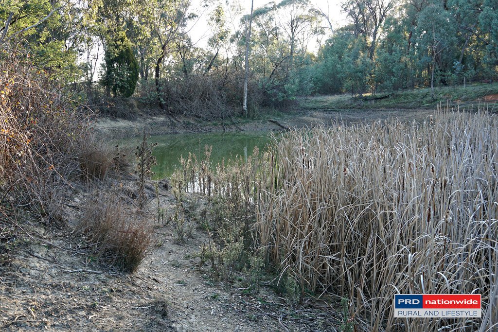 148 Tumbarumba Road TUMBARUMBA 6