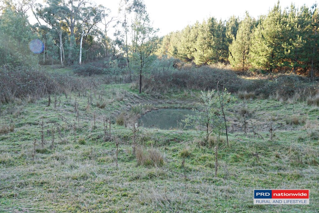 148 Tumbarumba Road TUMBARUMBA 7