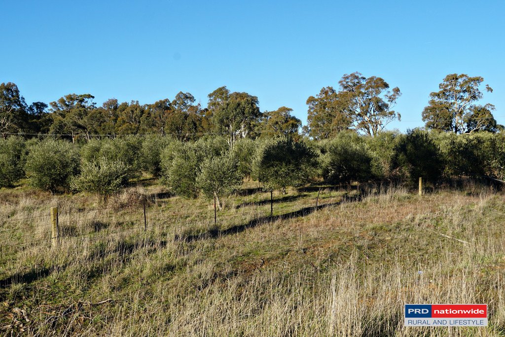 148 Tumbarumba Road TUMBARUMBA 8