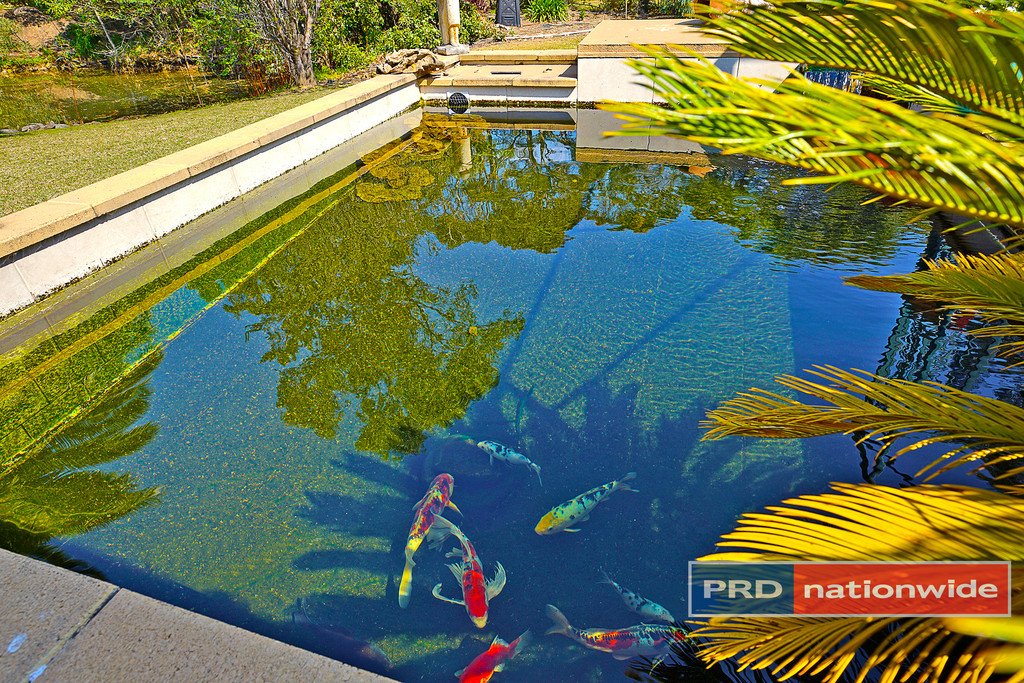 148 Vincent Road CRANEBROOK 20