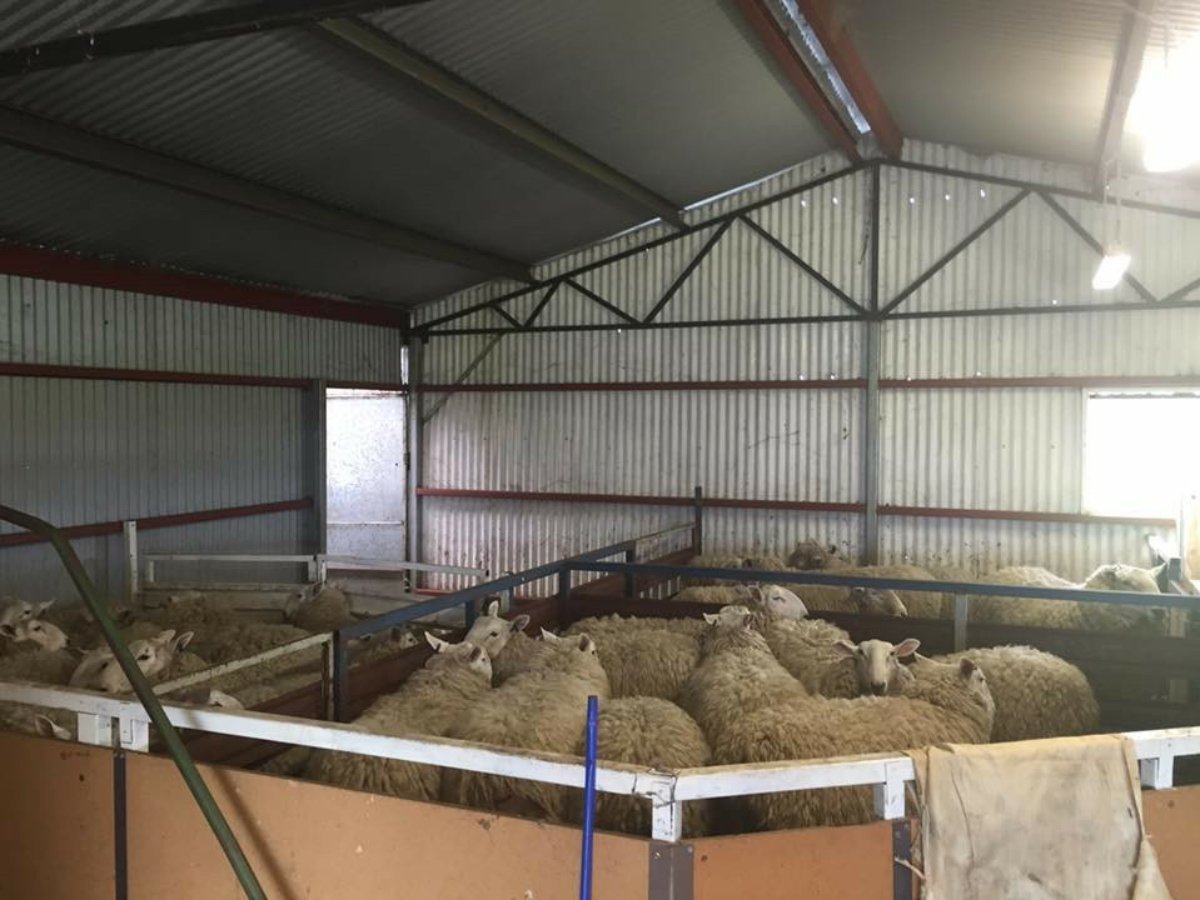 1487 Longs Corner Road CANOWINDRA 5