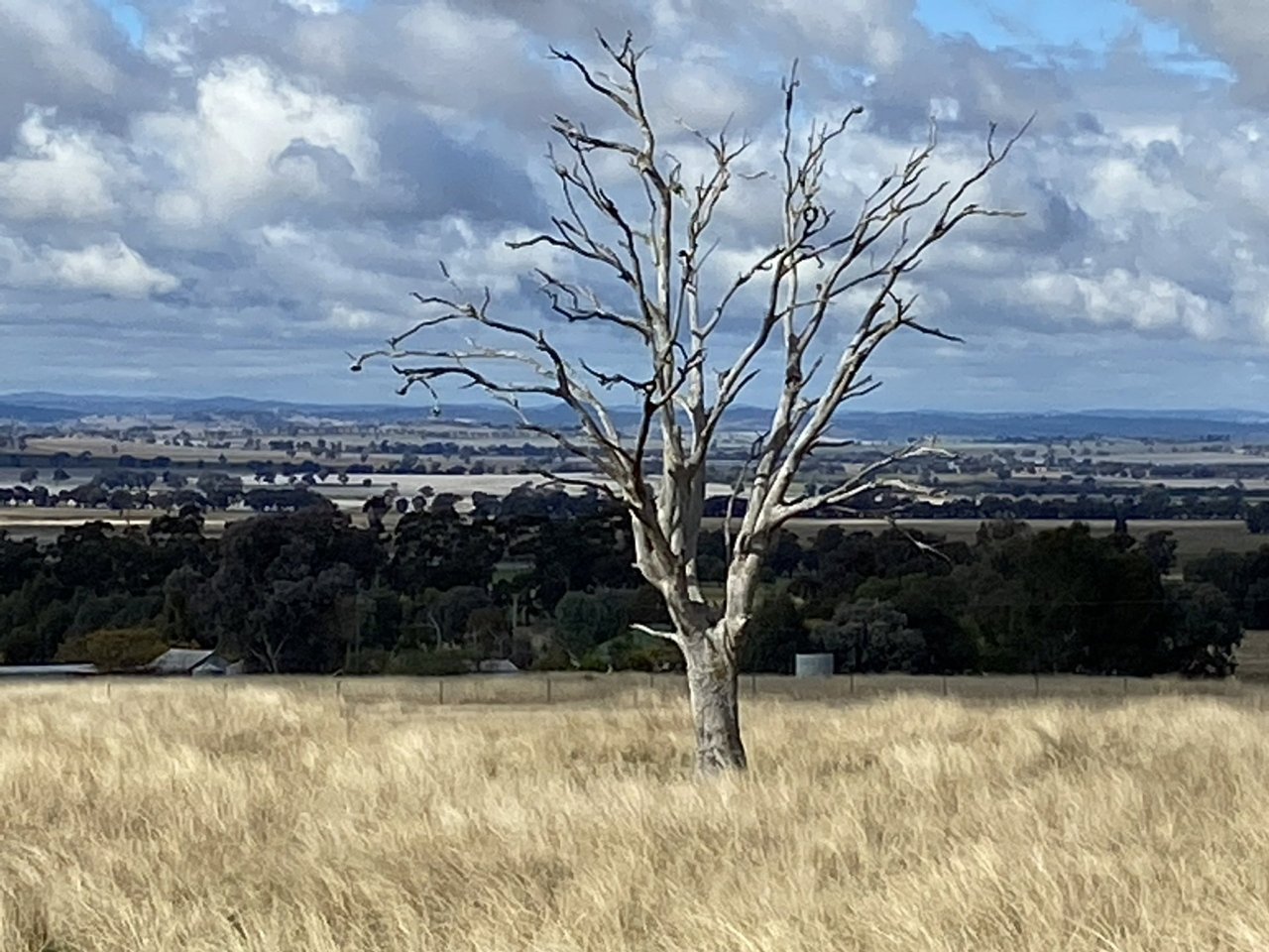 1487 Longs Corner Road CANOWINDRA 10
