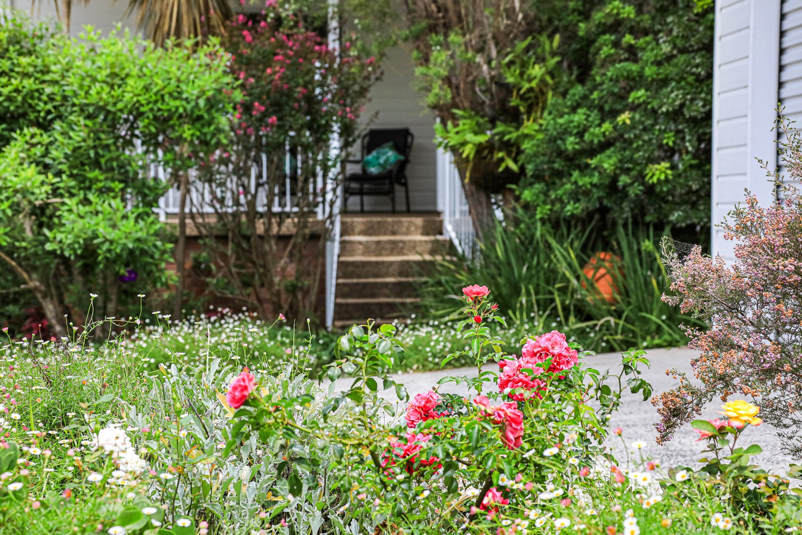 149 Farmborough Rd  FARMBOROUGH HEIGHTS 8