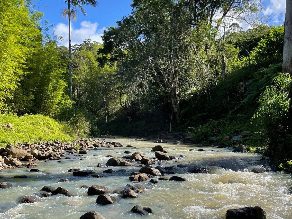 149 Petsch Creek Road Tallebudgera Valley 29