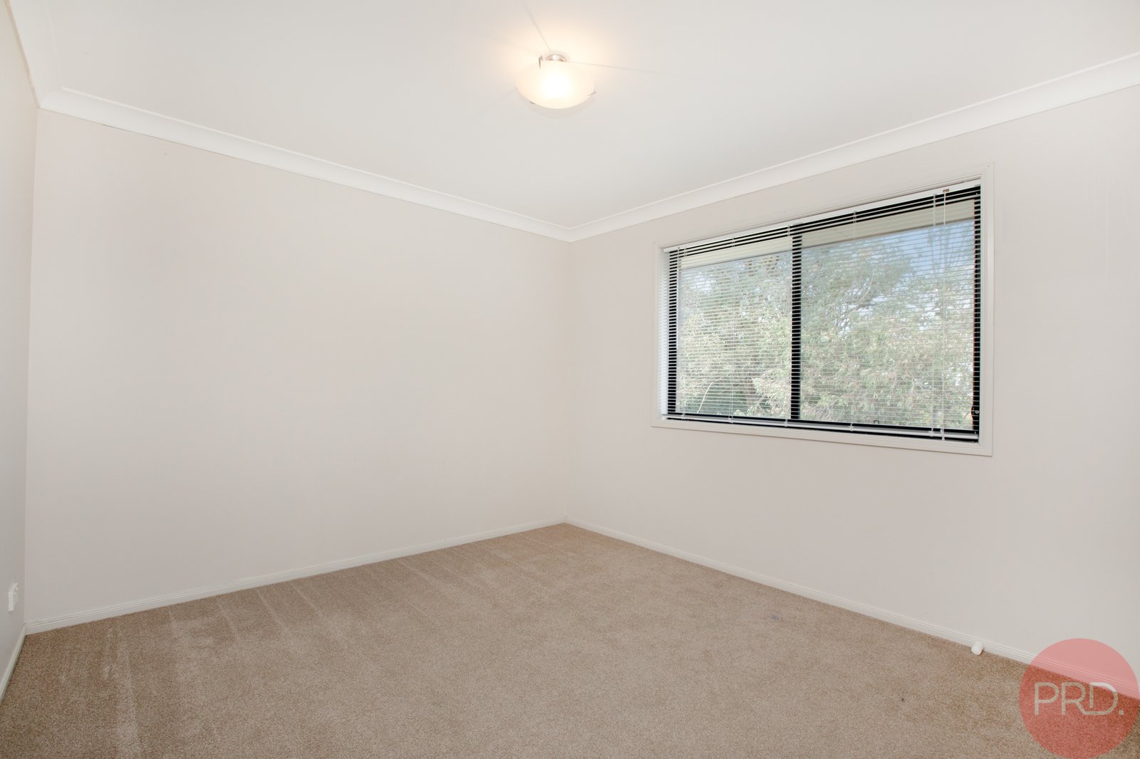 149 Regiment Road RUTHERFORD 11