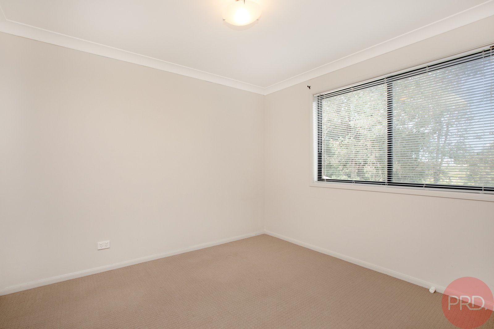 149 Regiment Road RUTHERFORD 12