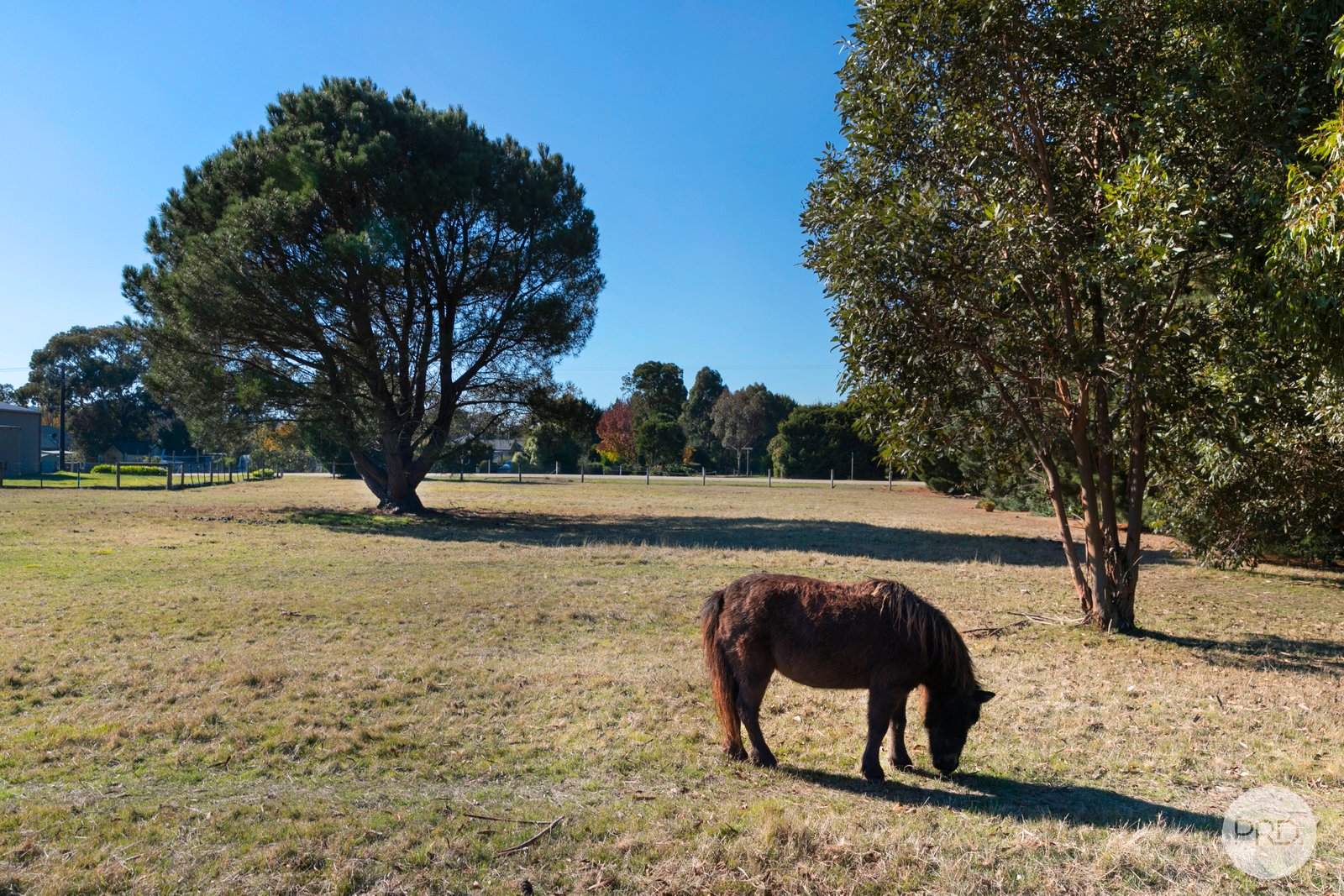 1491 Old Melbourne Road GORDON 6