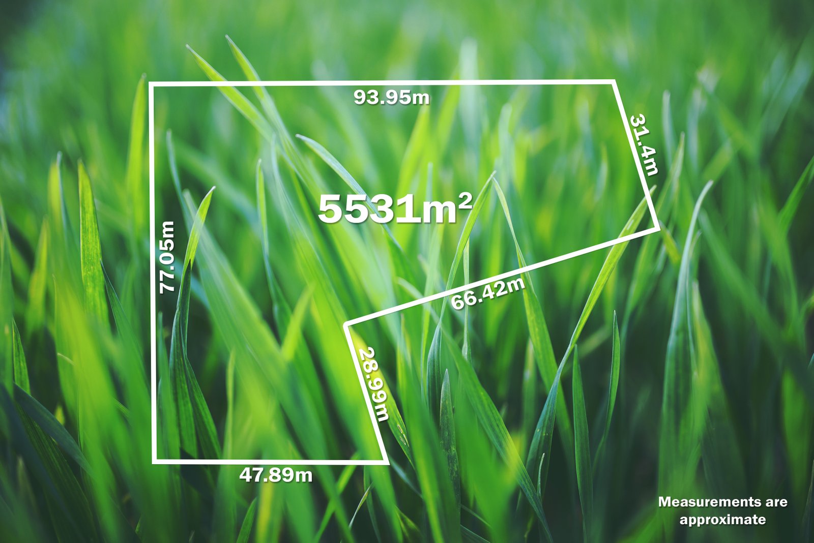 1491 Old Melbourne Road GORDON 9