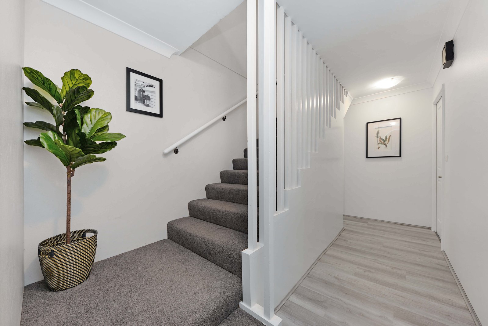 1494 Anzac Parade LITTLE BAY 15