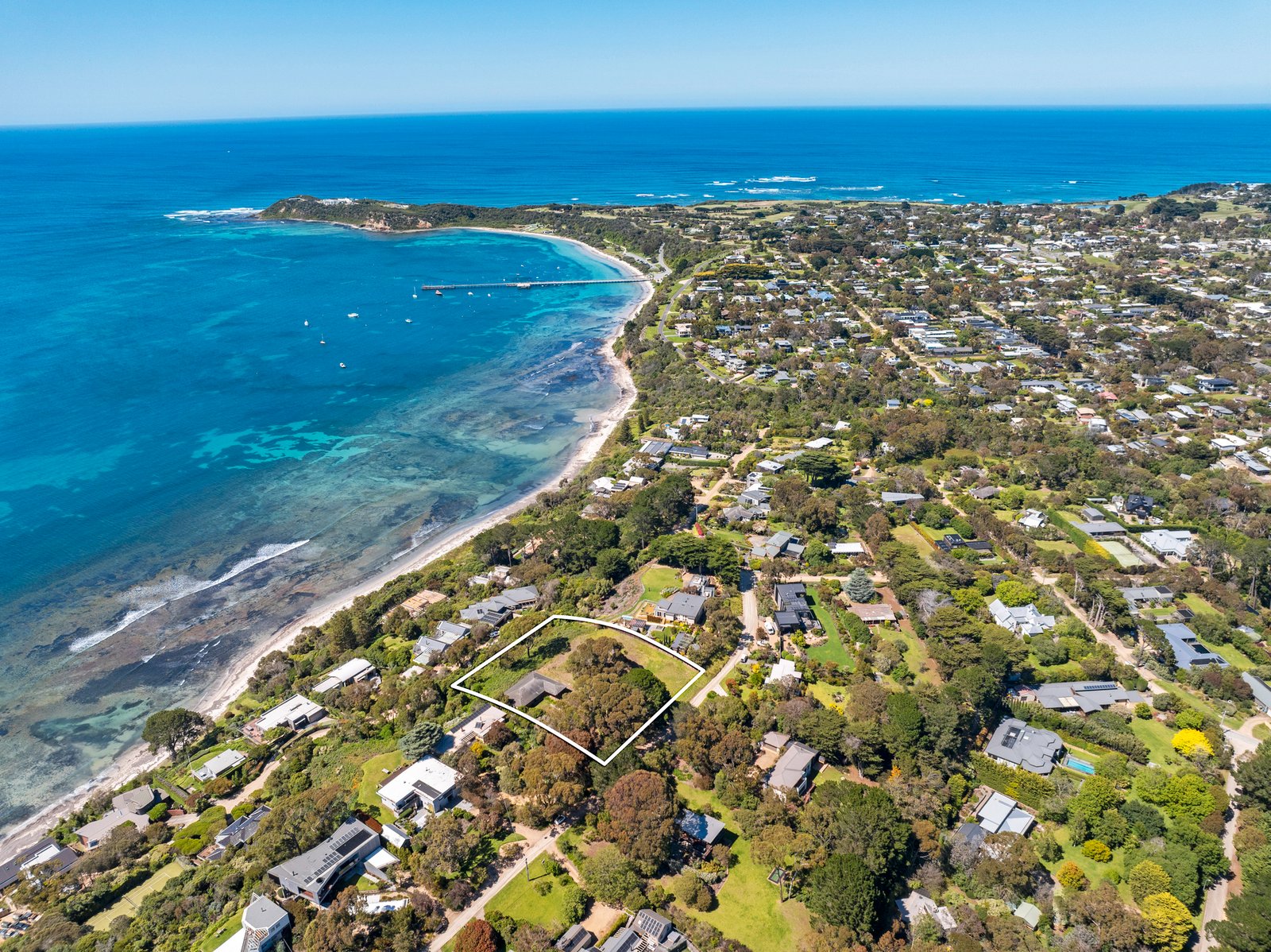 Gallery: 15-17 Bluff Avenue