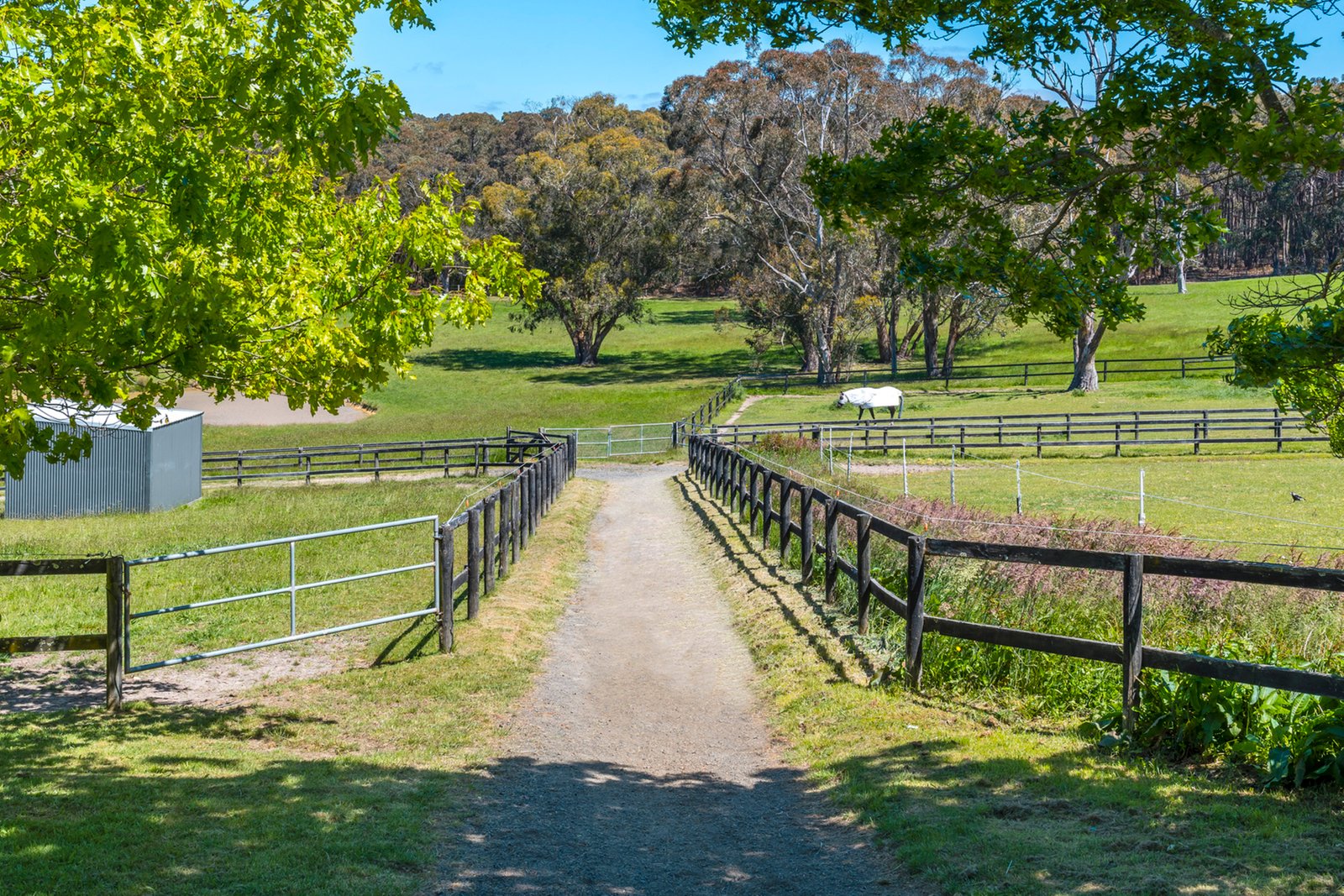 15 Bailey Road, Macedon, 3440