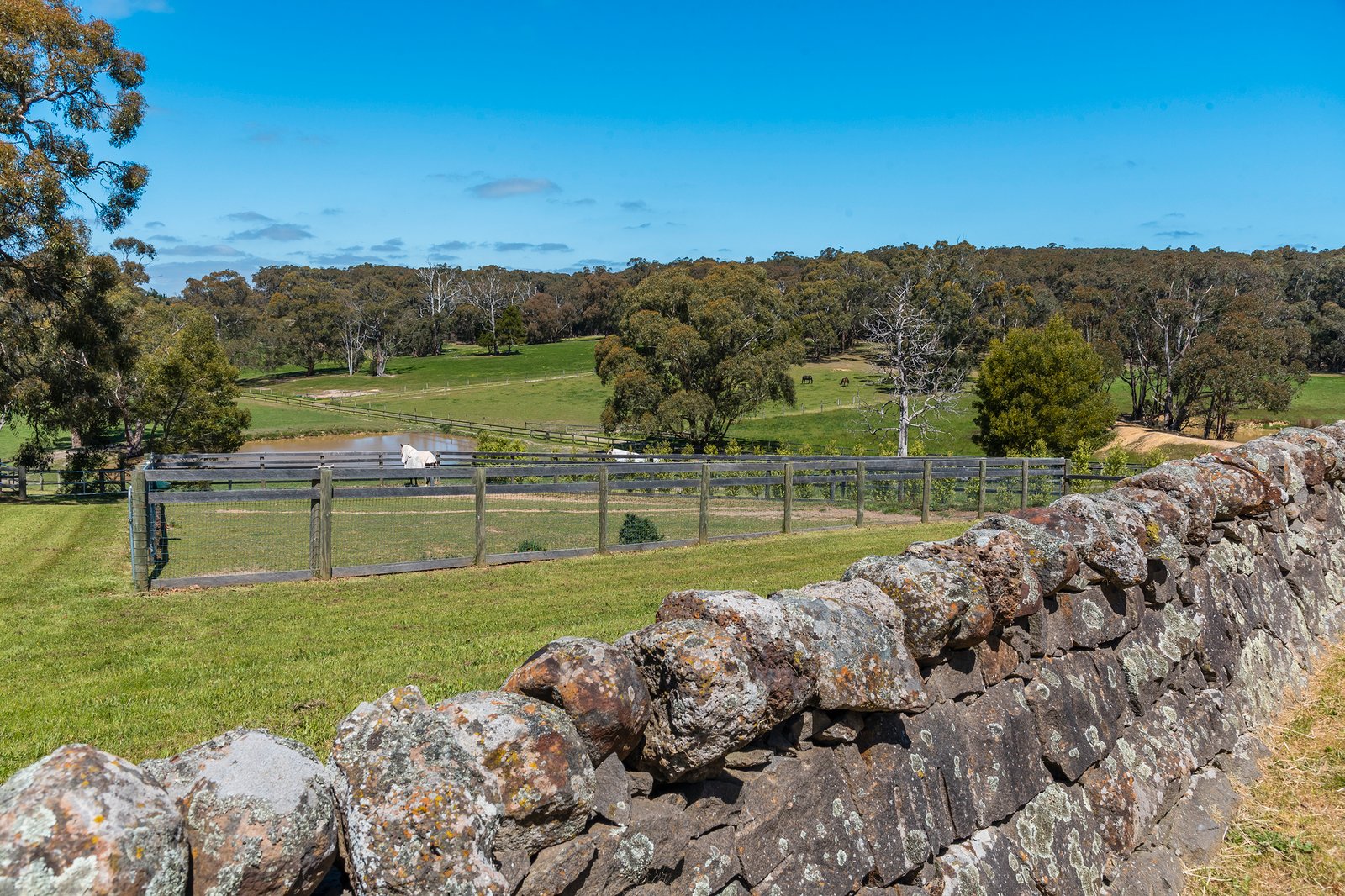 Real Estate and Property in 15 Bailey Road, Macedon, VIC