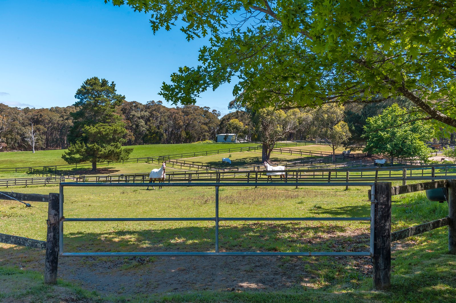 Real Estate and Property in 15 Bailey Road, Macedon, VIC
