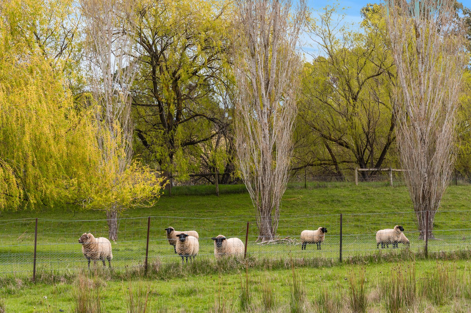 Real Estate and Property in 15 Balls Lane, Kyneton, VIC
