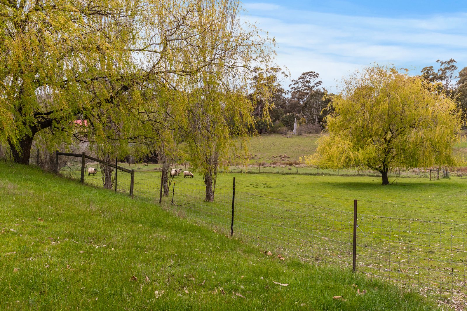 Real Estate and Property in 15 Balls Lane, Kyneton, VIC