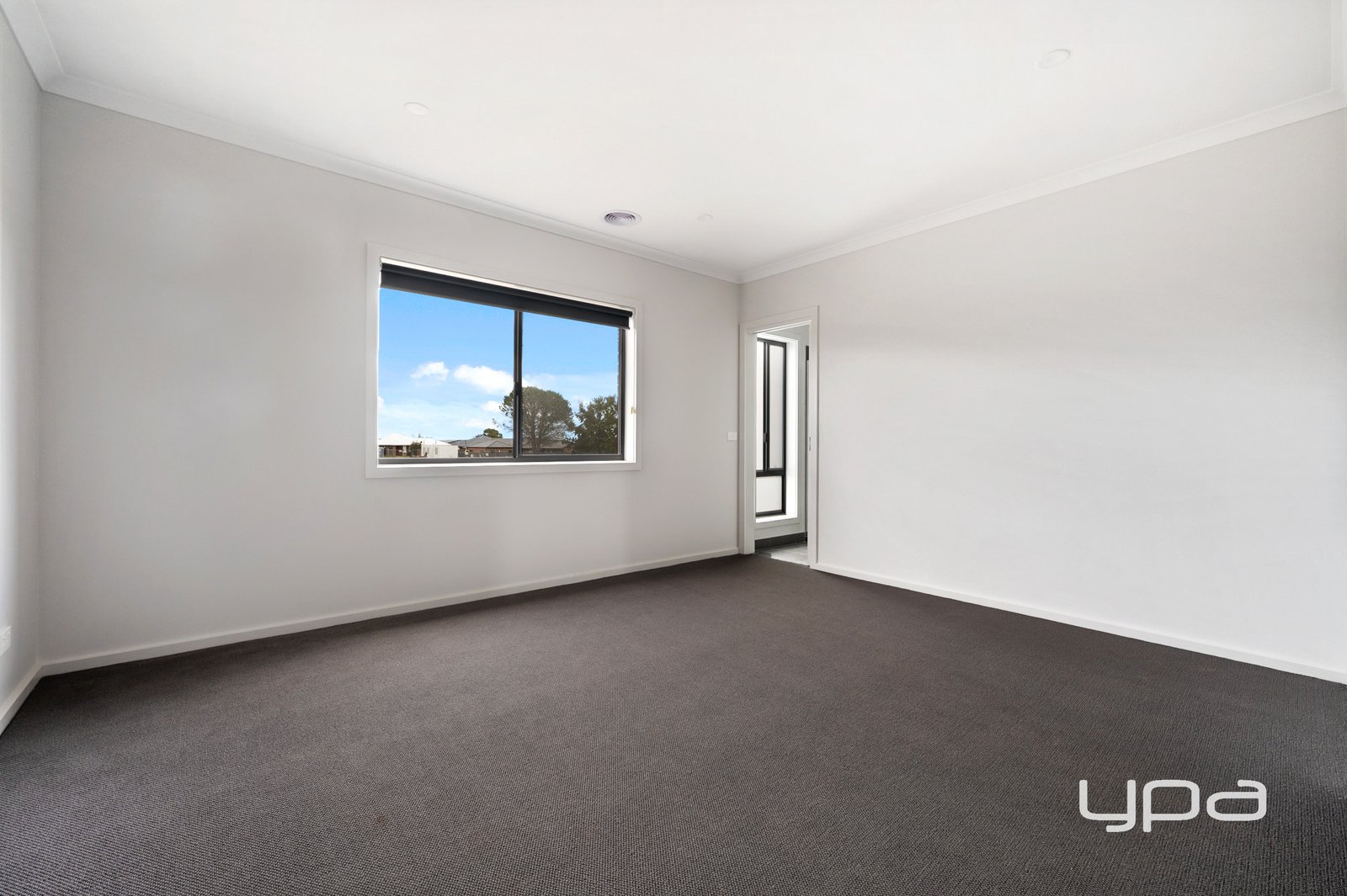 Gallery: 15 Brewster Street