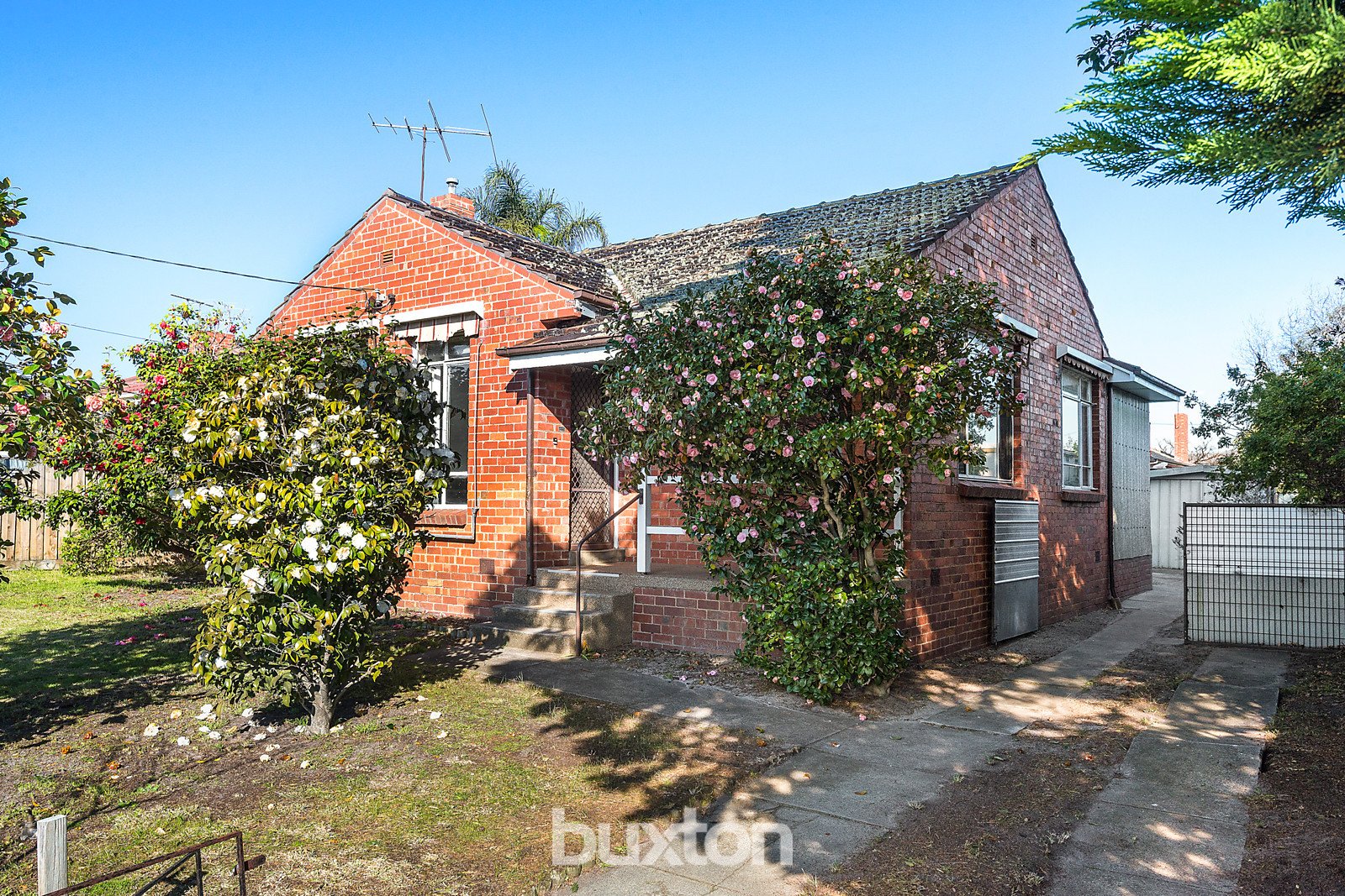 Gallery: 15 Burt Crescent