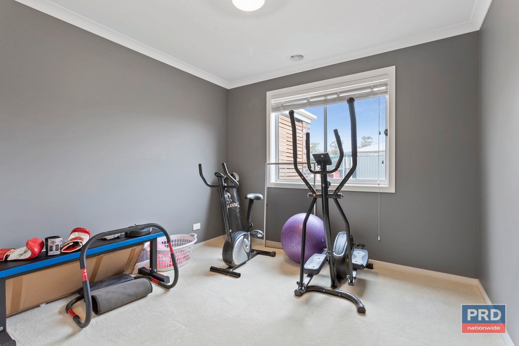 15 Buxton Street JACKASS FLAT 14