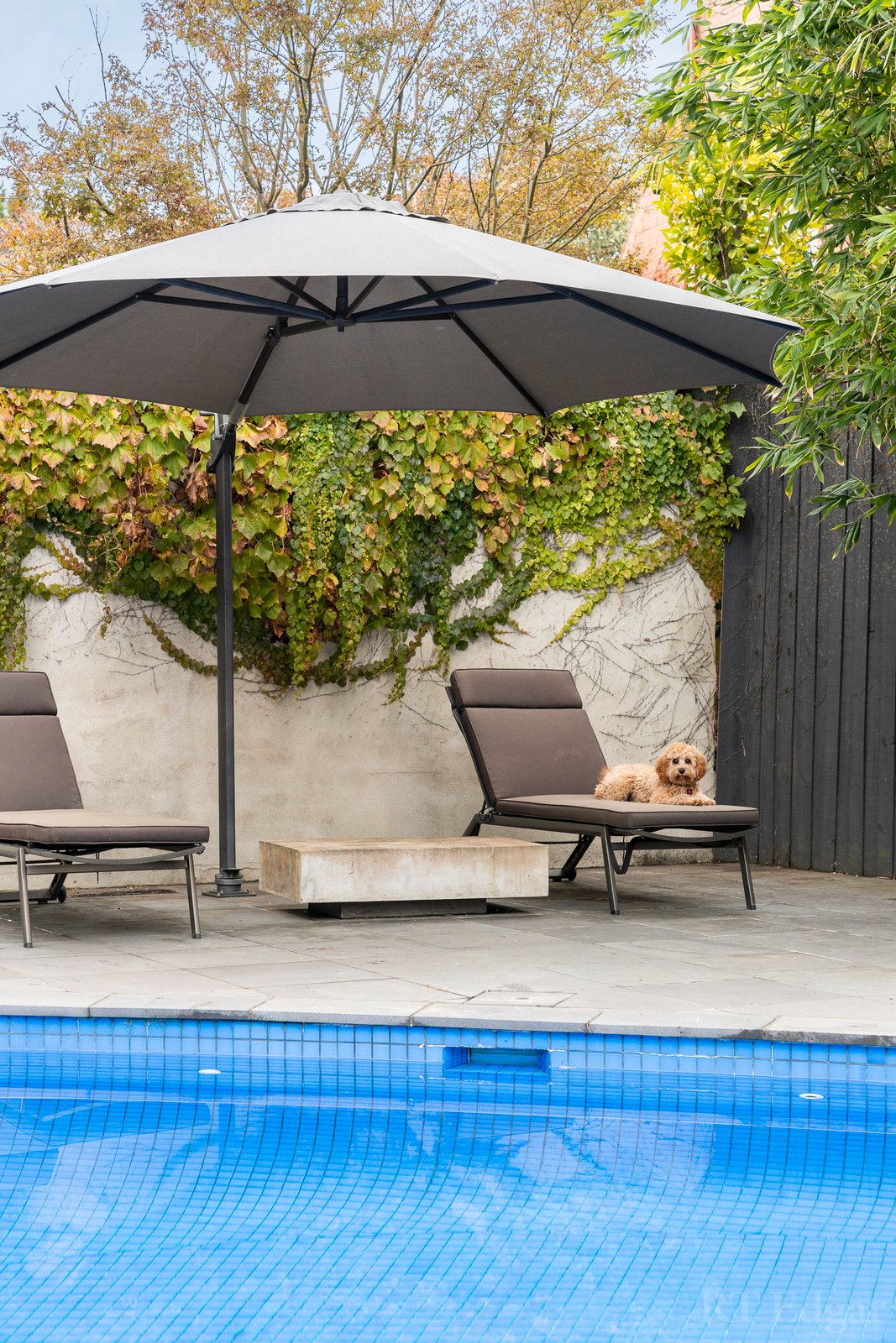 Real Estate and Property in 15 Cairnes Crescent, Brighton, VIC