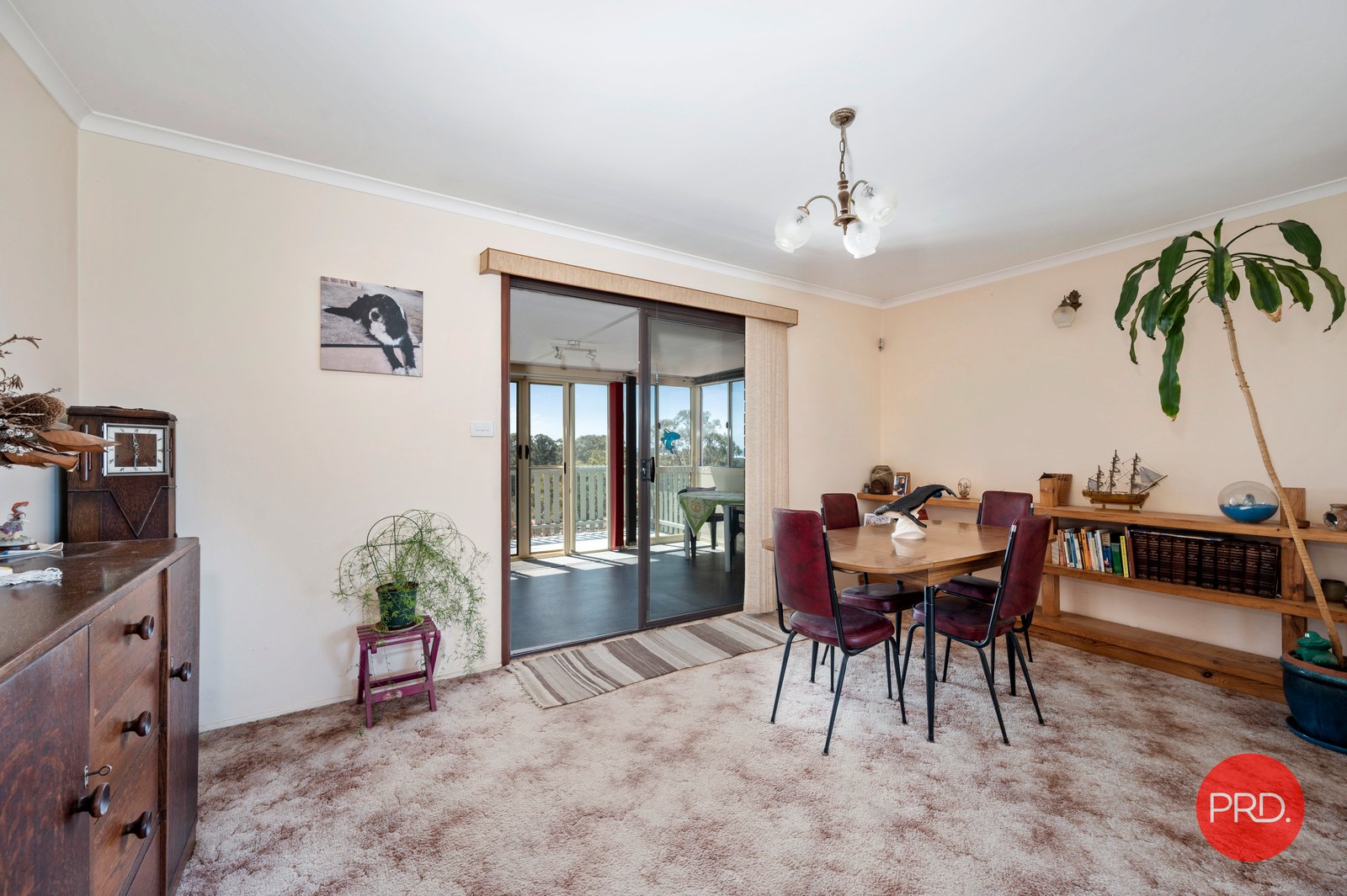15 Campbell Street SAFETY BEACH 5
