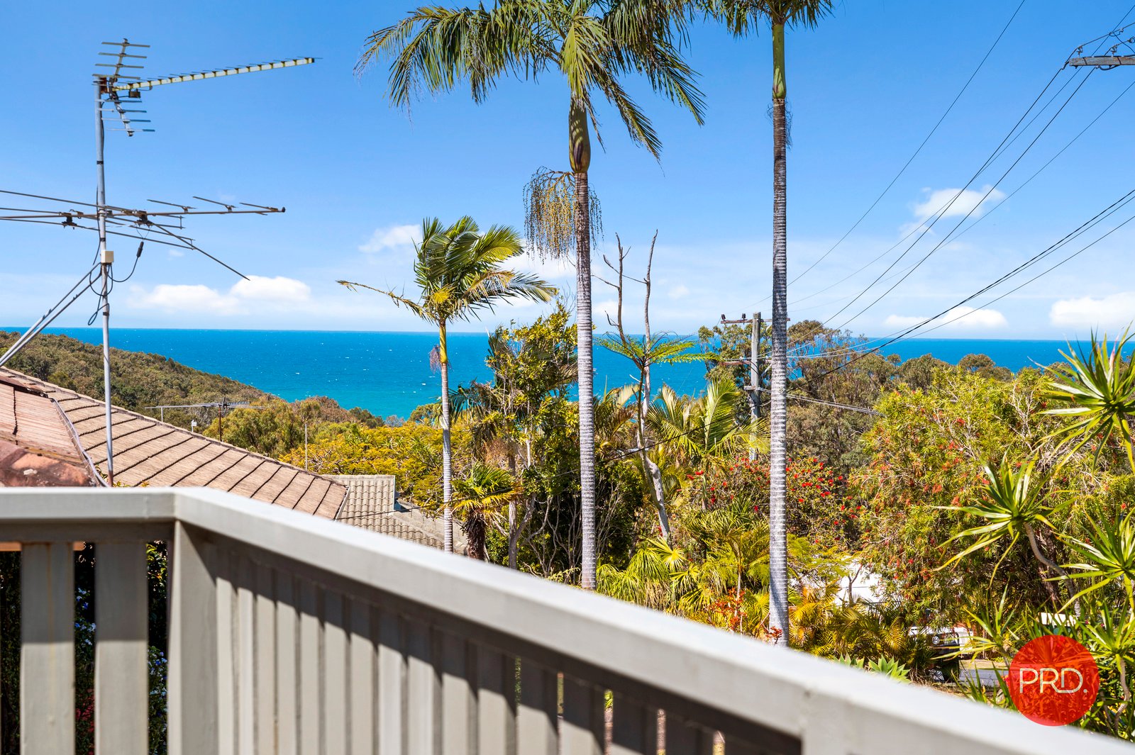 15 Campbell Street SAFETY BEACH 16
