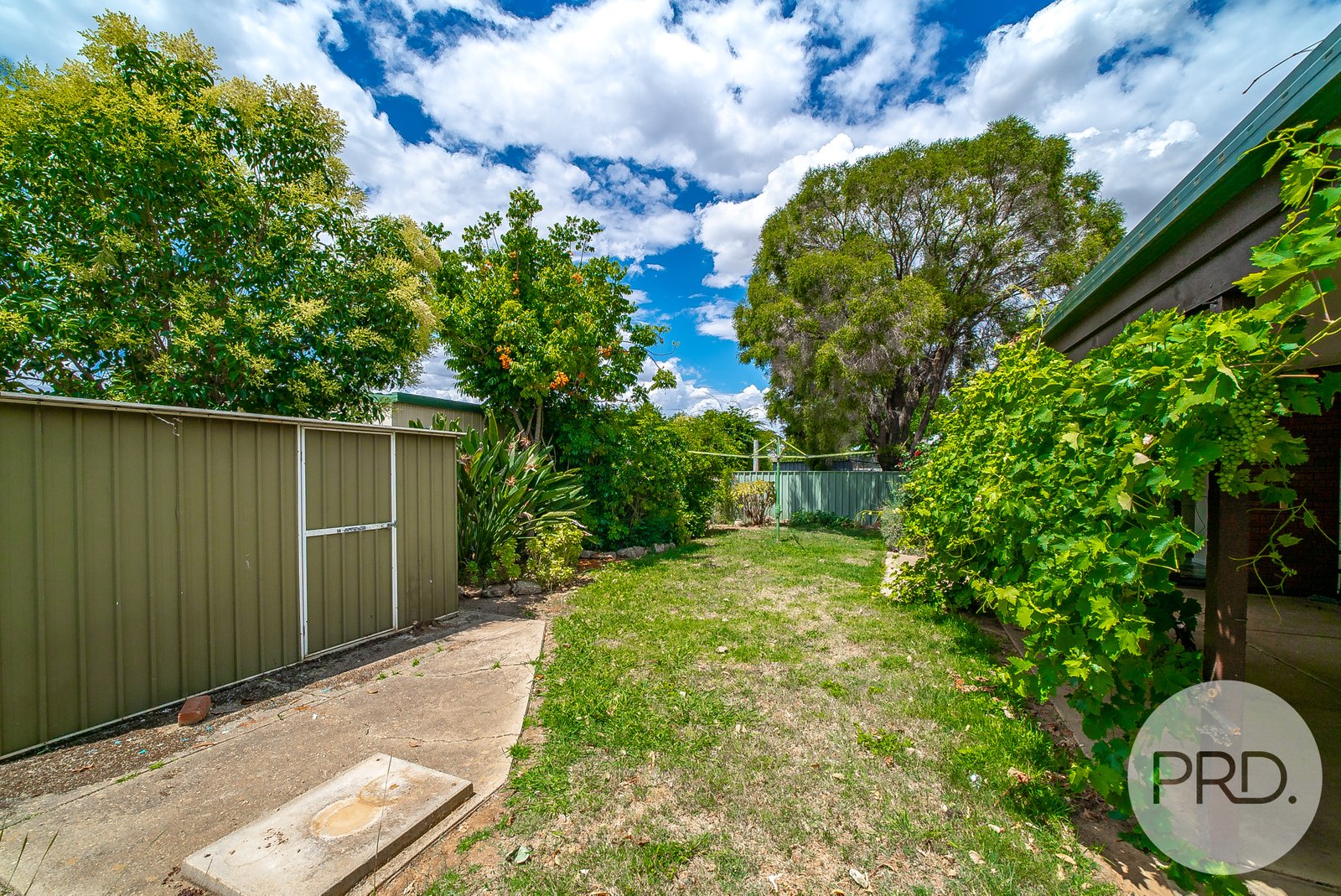 15 Carmody Street KOORINGAL 15