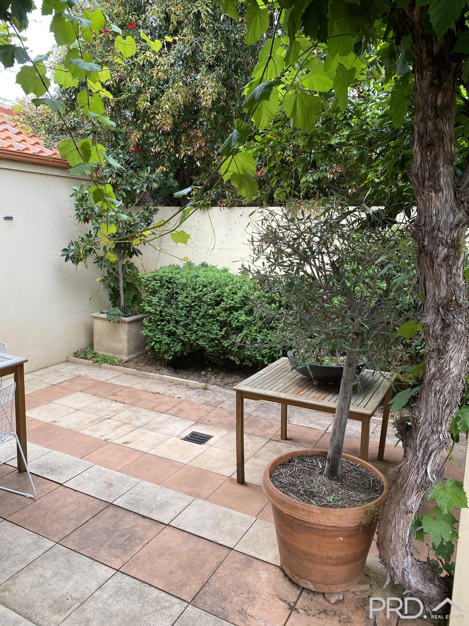 15 Cherry Avenue MILDURA 19