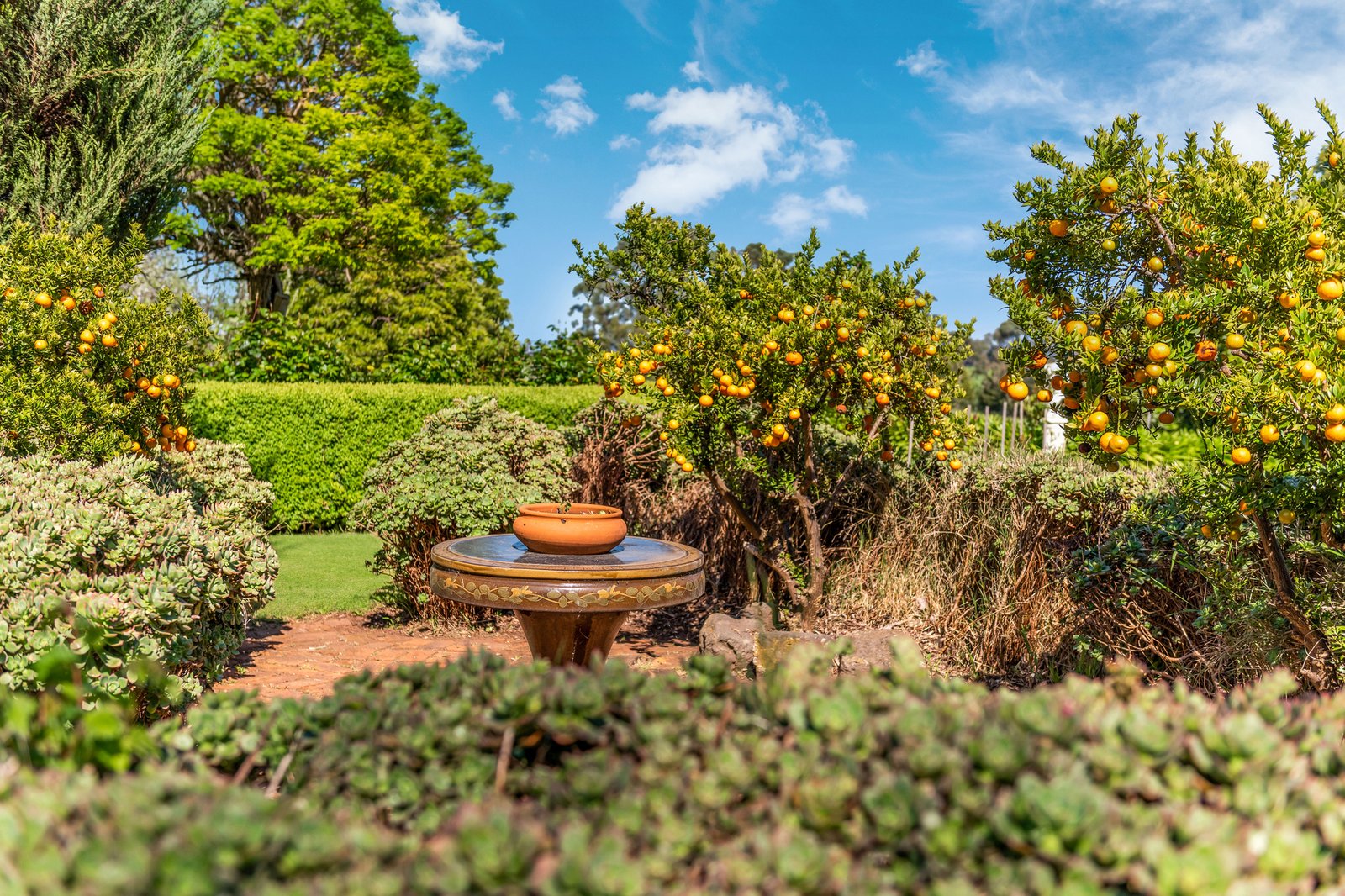 Real Estate and Property in 15 Costellos Road, Kilmore, VIC