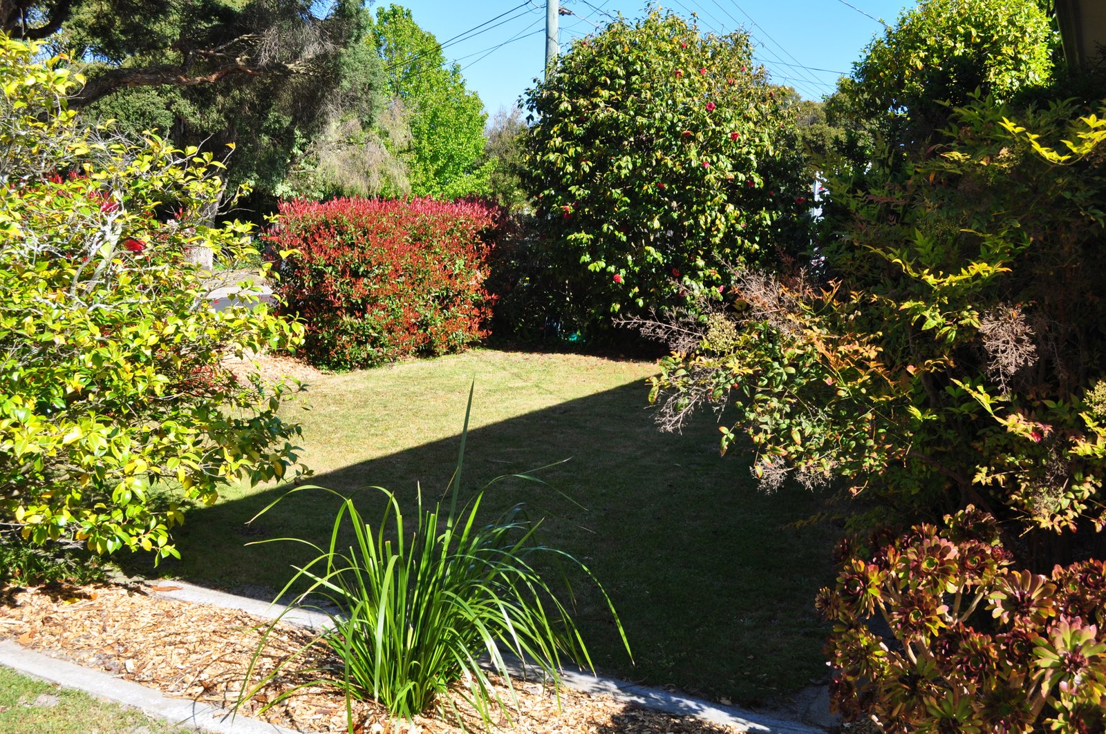 Gallery: 15 Crawford Street