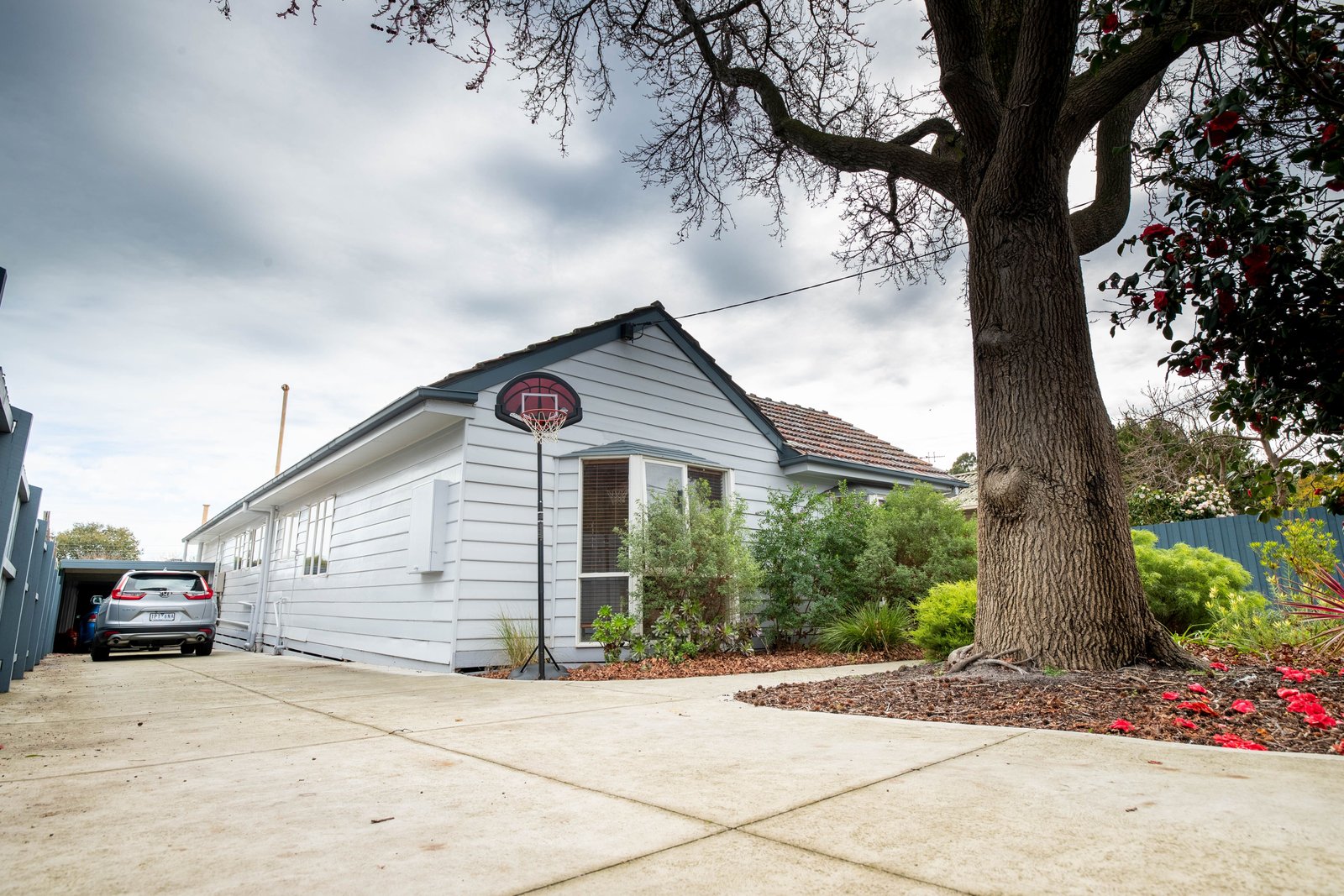 Gallery: 15 Dalmont Street