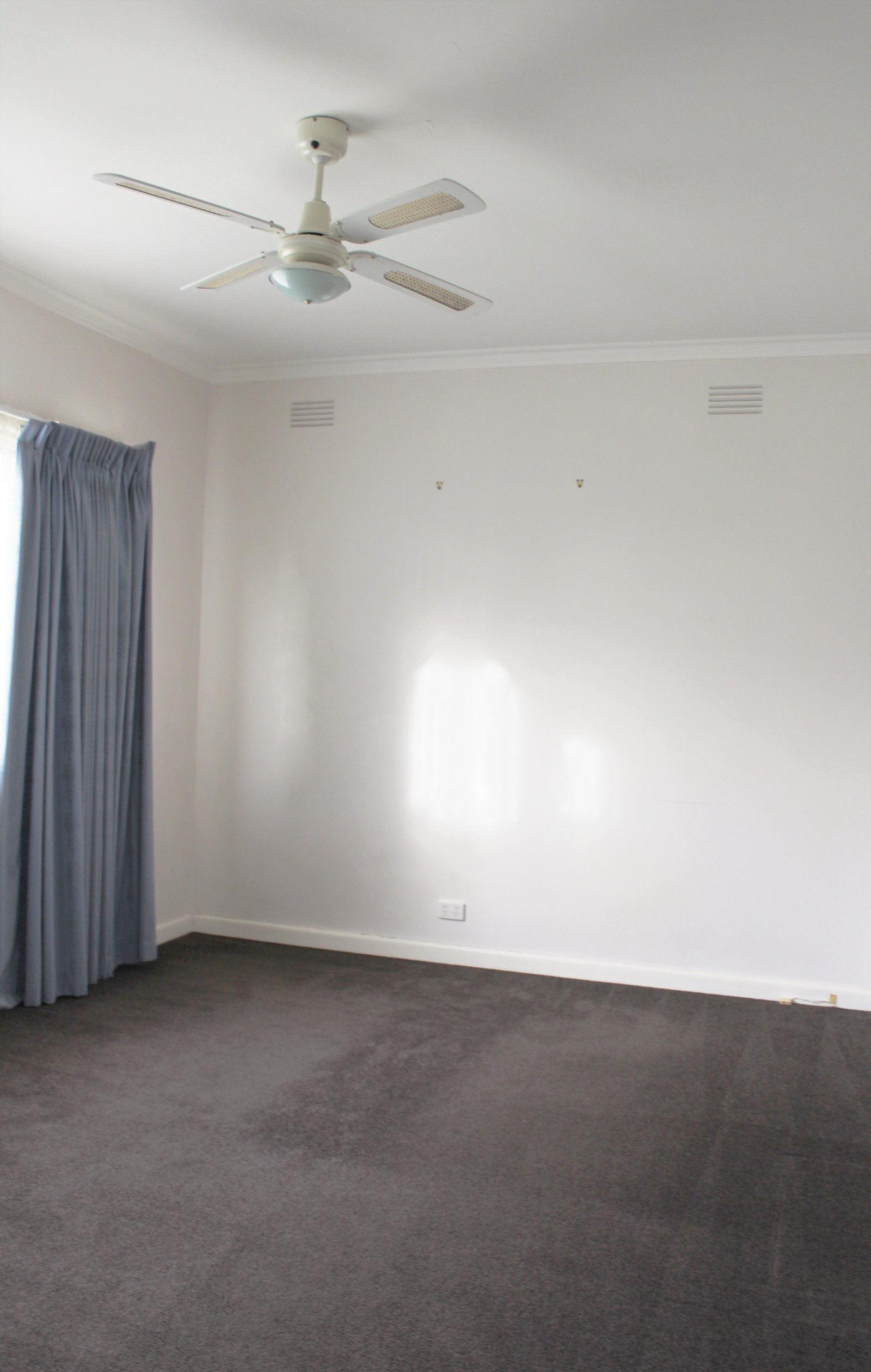 Gallery: 15 Daly Street