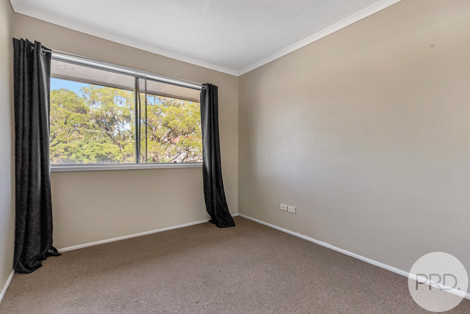 15 Dinterra Avenue FERNY HILLS 11